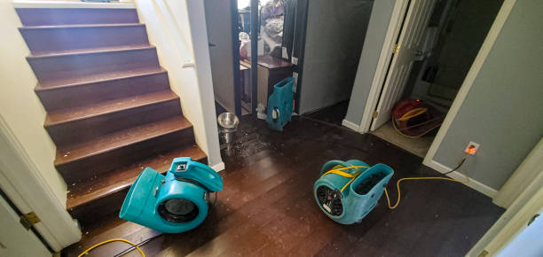 Best Flood restoration services  in High Point, NC