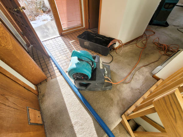 Best Sewage cleanup and water damage restoration  in High Point, NC