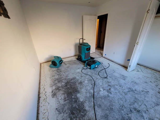 Best Carpet water damage restoration  in High Point, NC