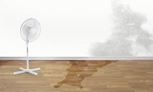 Best Fire Damage Restoration  in High Point, NC