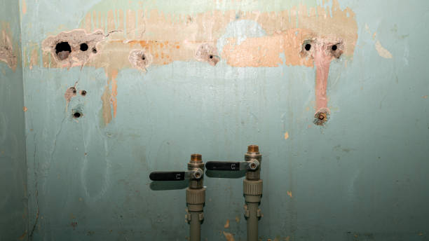 Best Local water damage restoration  in High Point, NC