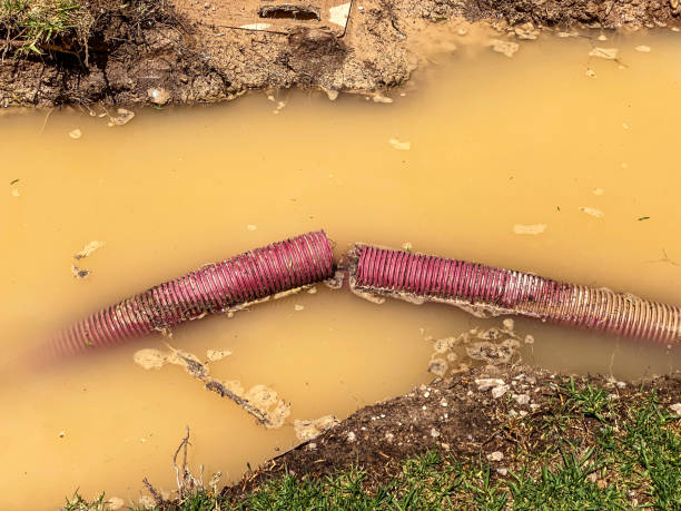 Best Water damage restoration near me  in High Point, NC
